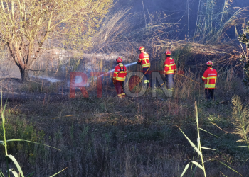 Incêndio deflagra em Aldeia Grande num povoamento florestal